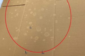 Mold & Fungal Growth (White Spots on Boxes)